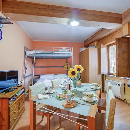 Apartment Studio Borgata Ski In Ski Out 300m - Happy